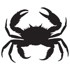 Crab isolated on white background. Vector illustration eps 10.