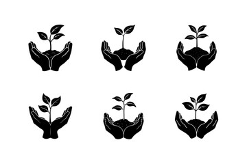 hands holding a seedling vector silhouette