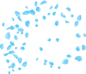 Curve swirl line vector illustration with rose petals blue color for Father day, wedding invitation