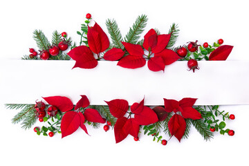 Christmas decoration. Flowers of red poinsettia, branch christmas tree, red berries and white paper card with space for text on a white background. Top view, flat lay