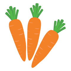 carrot icon, carrot vector illustration on white background 