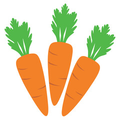 carrot icon, carrot vector illustration on white background 