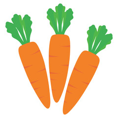 carrot icon, carrot vector illustration on white background 