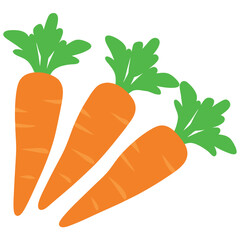 carrot icon, carrot vector illustration on white background 