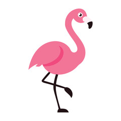 pink flamingo flat cartoon vector illustration © Anminsi
