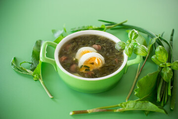 Appetizing spring sorrel borscht isolated on a green background