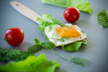 Homemade breakfast with fried egg and fresh salad leaves, on gray background