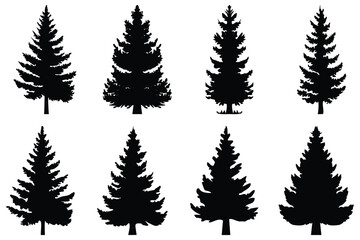 Set of Pine Tree Silhouettes | Vector Evergreen Tree Shapes for Forest and Winter Design