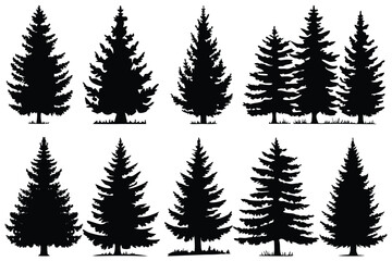 Set of Pine Tree Silhouettes | Vector Evergreen Tree Shapes for Forest and Winter Design