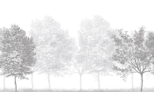 Fototapeta Modern Nature Wall Mural: Black & White Tree Silhouettes Background Design
