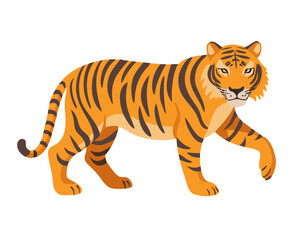 tiger vector illustration