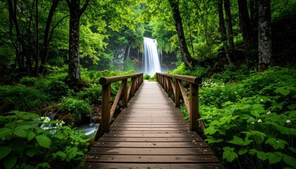 Obraz premium Serene Pathway to a Secluded Waterfall in a Lush Green Forest