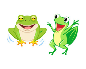 two frogs on white background