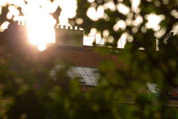 This stunning view showcases a rooftop partially hidden by lush greenery, with sunlight...