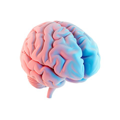 3D Brain with Blue and Pink Halves Symbolizing Gender Differences on a Transparent Background