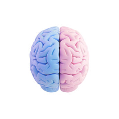 3D Brain with Blue and Pink Halves Symbolizing Gender Differences on a Transparent Background