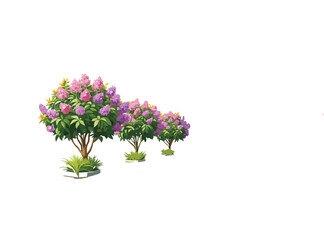 "Pink Oleander Flower Bushes – Hand-Drawn Botanical Illustration Isolated on" Blooming Rhododendron Trees in Spring Garden Illustration"
 White Background"
