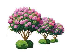 "Pink Oleander Flower Bushes – Hand-Drawn Botanical Illustration Isolated on" Blooming Rhododendron Trees in Spring Garden Illustration"
 White Background"