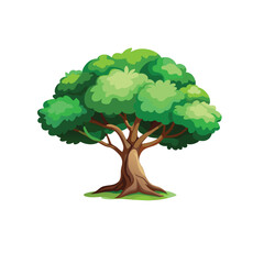 Isolated Broadleaf Tree Vector Art Lush Green Tree Illustration on White Background
