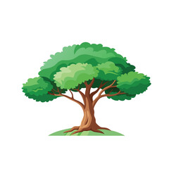 Isolated Broadleaf Tree Vector Art Lush Green Tree Illustration on White Background