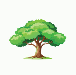 Isolated Broadleaf Tree Vector Art Lush Green Tree Illustration on White Background