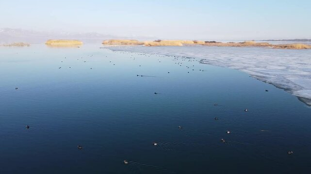 birds swim in Lake Sevan from a bird's eye view