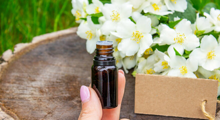 Jasmine essential oil in a glass bottle and jasmine flowers. Oils.