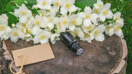Jasmine essential oil in a glass bottle and jasmine flowers. Oils.