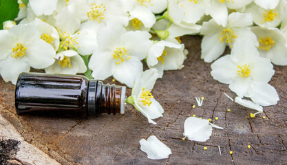 Jasmine essential oil in a glass bottle and jasmine flowers. Oils.