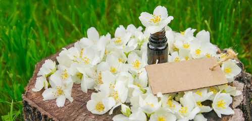 Jasmine essential oil in a glass bottle and jasmine flowers. Oils.