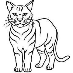 Wildcat Sketch line art vector