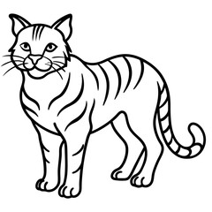 Wildcat Sketch line art vector
