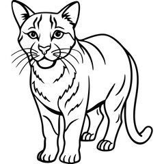 Wildcat Sketch line art vector