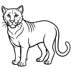 Wildcat Sketch line art vector