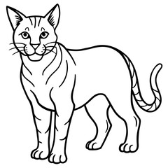 Wildcat Sketch line art vector