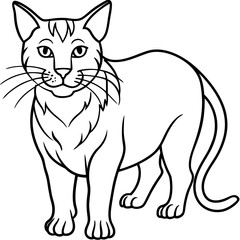 Wildcat Sketch line art vector