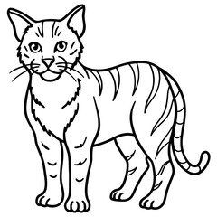 Wildcat Sketch line art vector