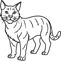 Wildcat Sketch line art vector