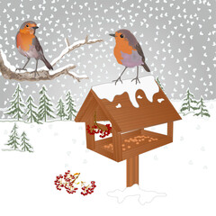 Robins at a bird feeder in a snowy forest landscape watercolor vintage vector illustration hand draw