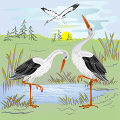 Storks by the lake watercolor vintage vector illustration hand draw