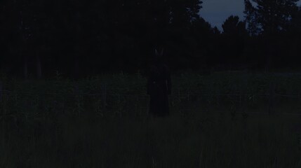 Shadowy figure standing within a landscape