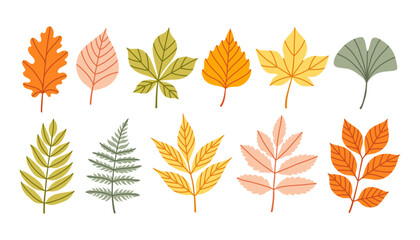 Set of autumn leaves from different trees, oak, maple, chestnut, ash, birch. Simple yellow, red, orange fall leaf set for pattern, banner, sticker. Hello autumn card. Flat vector illustration.