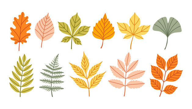 Set of autumn leaves from different trees, oak, maple, chestnut, ash, birch. Simple yellow, red, orange fall leaf set for pattern, banner, sticker. Hello autumn card. Flat vector illustration. - Powered by Adobe