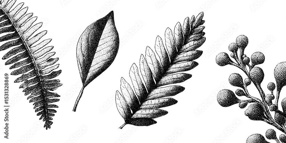 Poster elegant seamless pattern of fern and leaf skeletons for botanical design