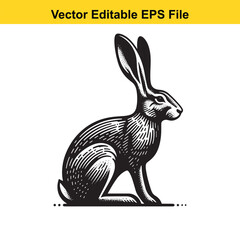 Vector illustration of a black and white hare sitting