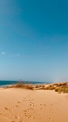 Footsteps on Sandy Dunes by the Moroccan Atlantic Coast