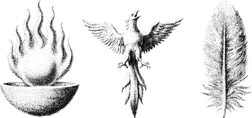 Mystical phoenix collection with fireball, rising bird, and feathers for artistic design
