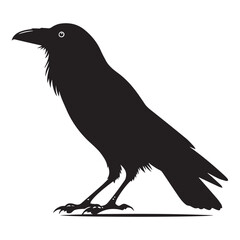Fototapeta premium Black raven silhouette standing profile view illustration