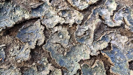 Dry and cracked soil texture during summer on tropical land
