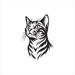 vector image of a cat